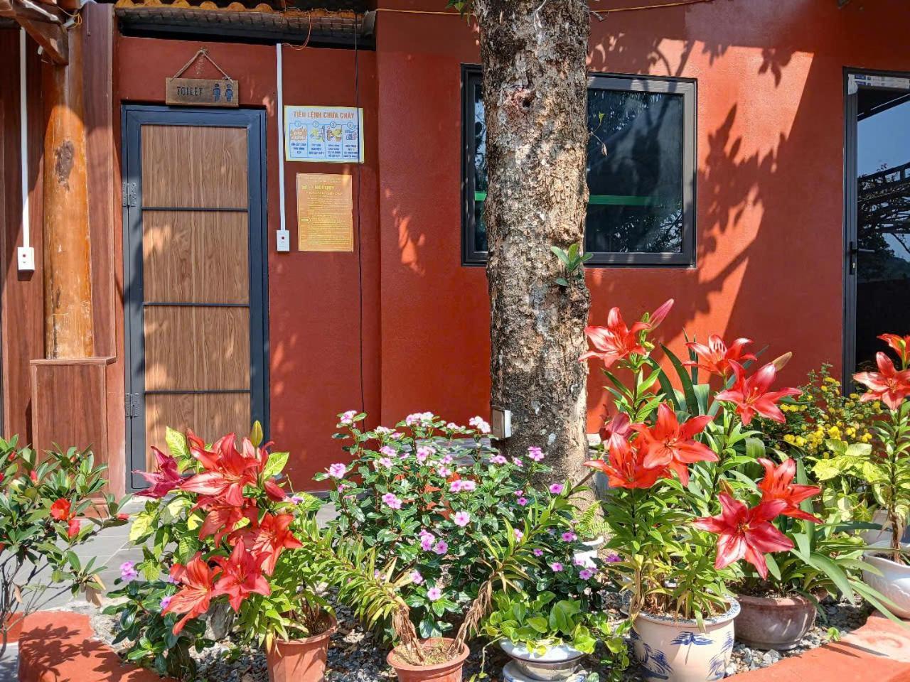 Catba Papillon Garden Bungalows & Resort Hien Hao Exteriér fotografie