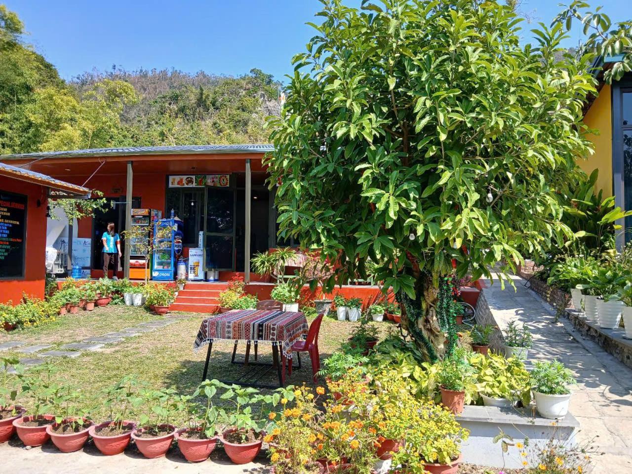 Catba Papillon Garden Bungalows & Resort Hien Hao Exteriér fotografie
