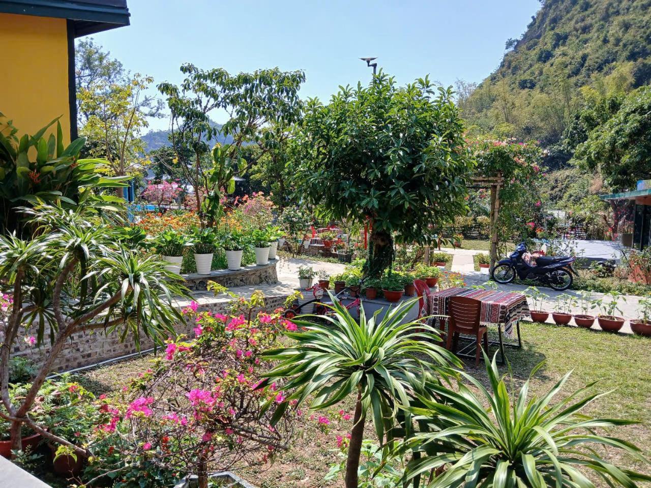 Catba Papillon Garden Bungalows & Resort Hien Hao Exteriér fotografie