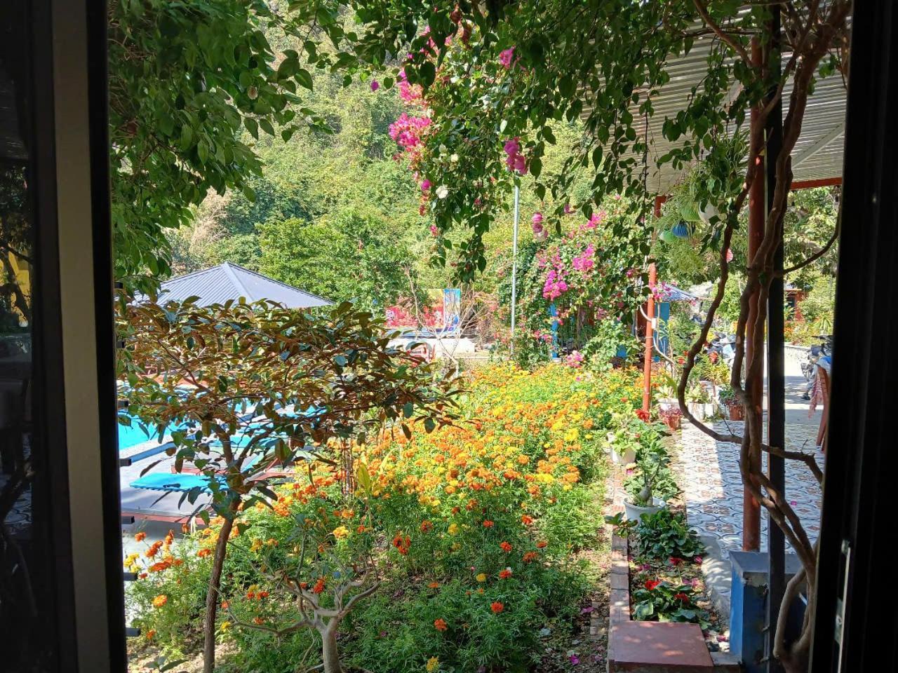 Catba Papillon Garden Bungalows & Resort Hien Hao Exteriér fotografie