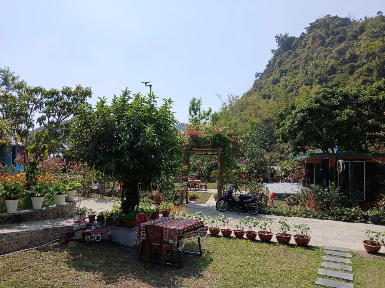 Catba Papillon Garden Bungalows & Resort Hien Hao Exteriér fotografie
